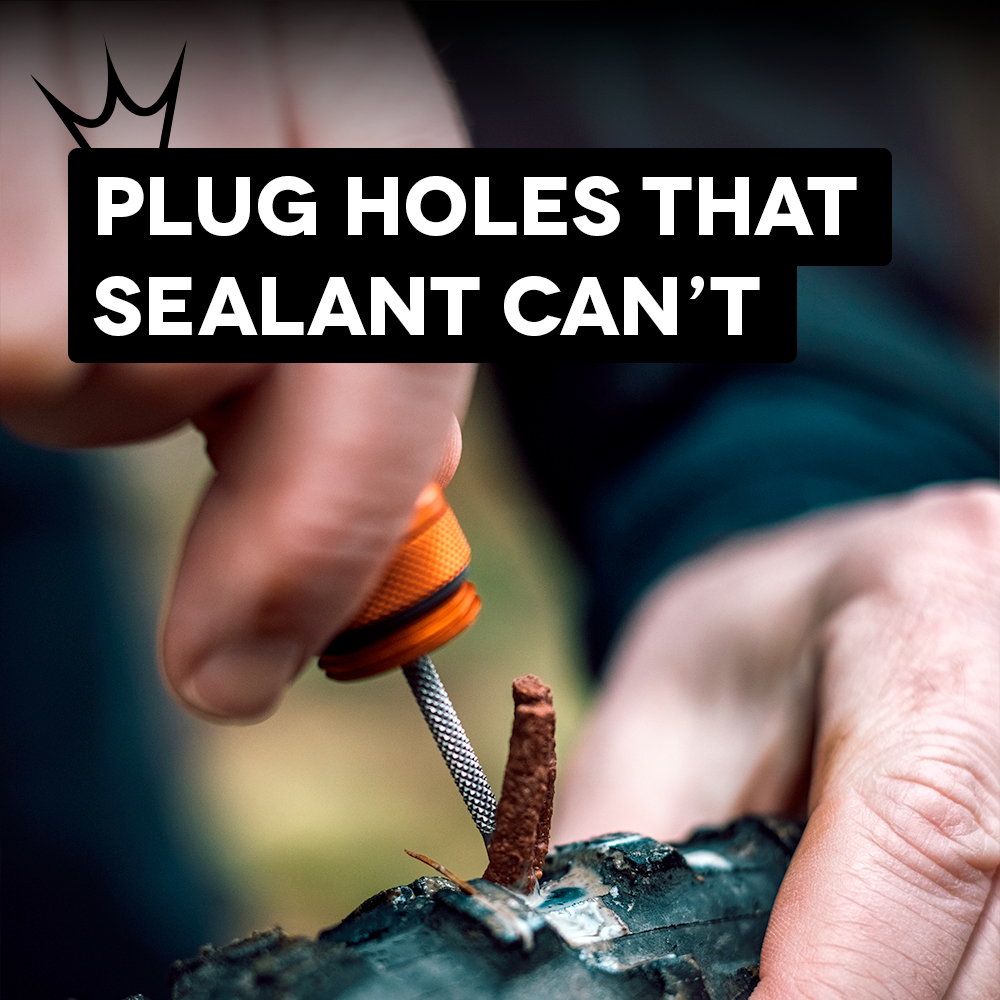 Plugs The Holes Sealant Cant.jpg
