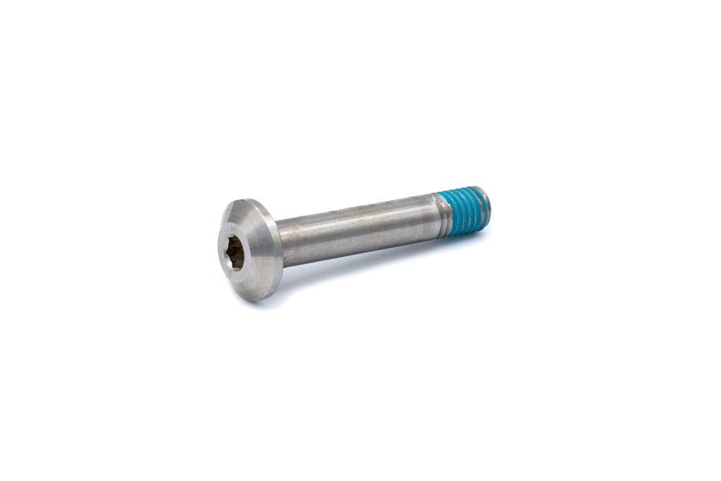 [003.007.0024] Shock Screw 8x1.25x58.jpg