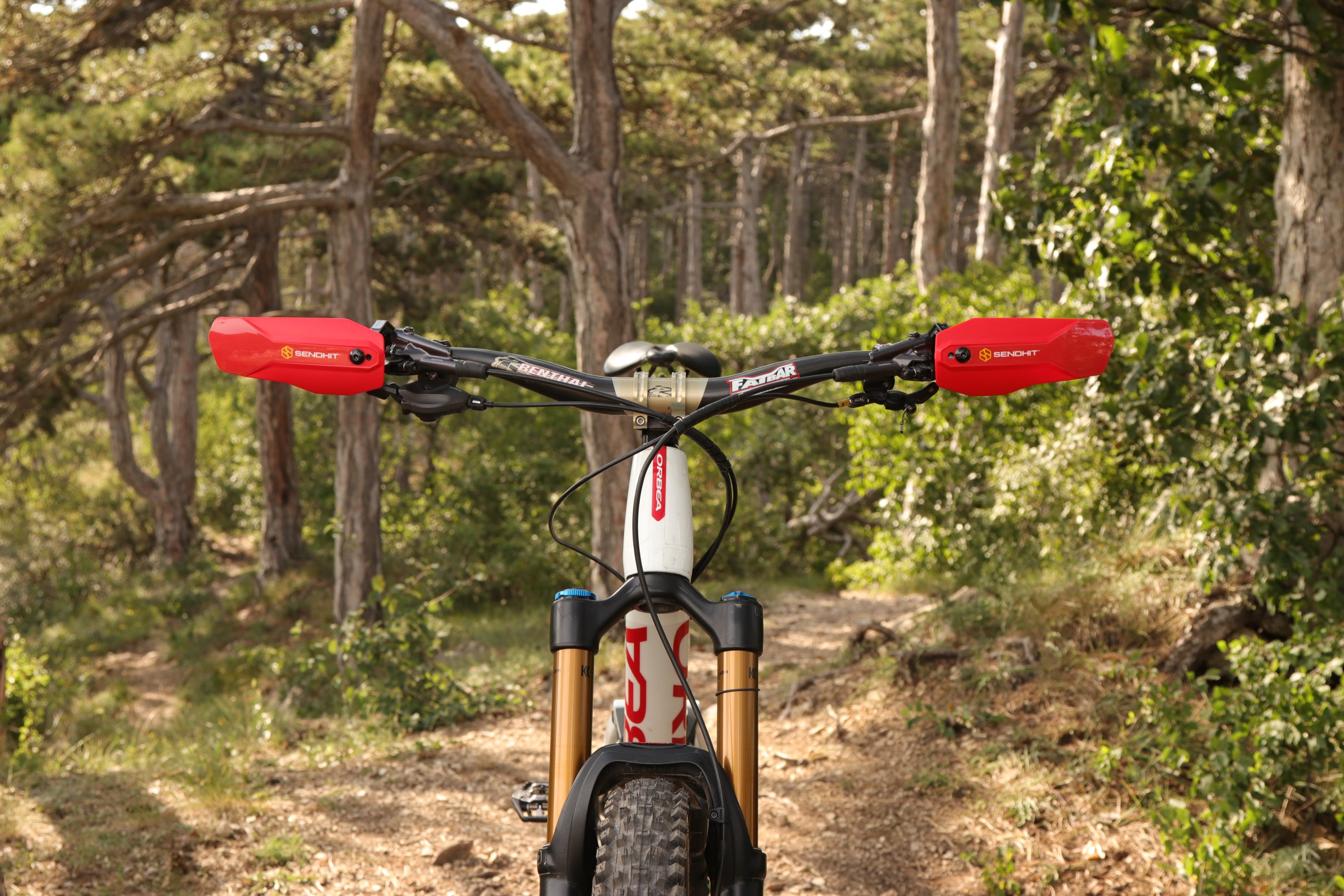 NockV2_Red_Outdoor1.jpg