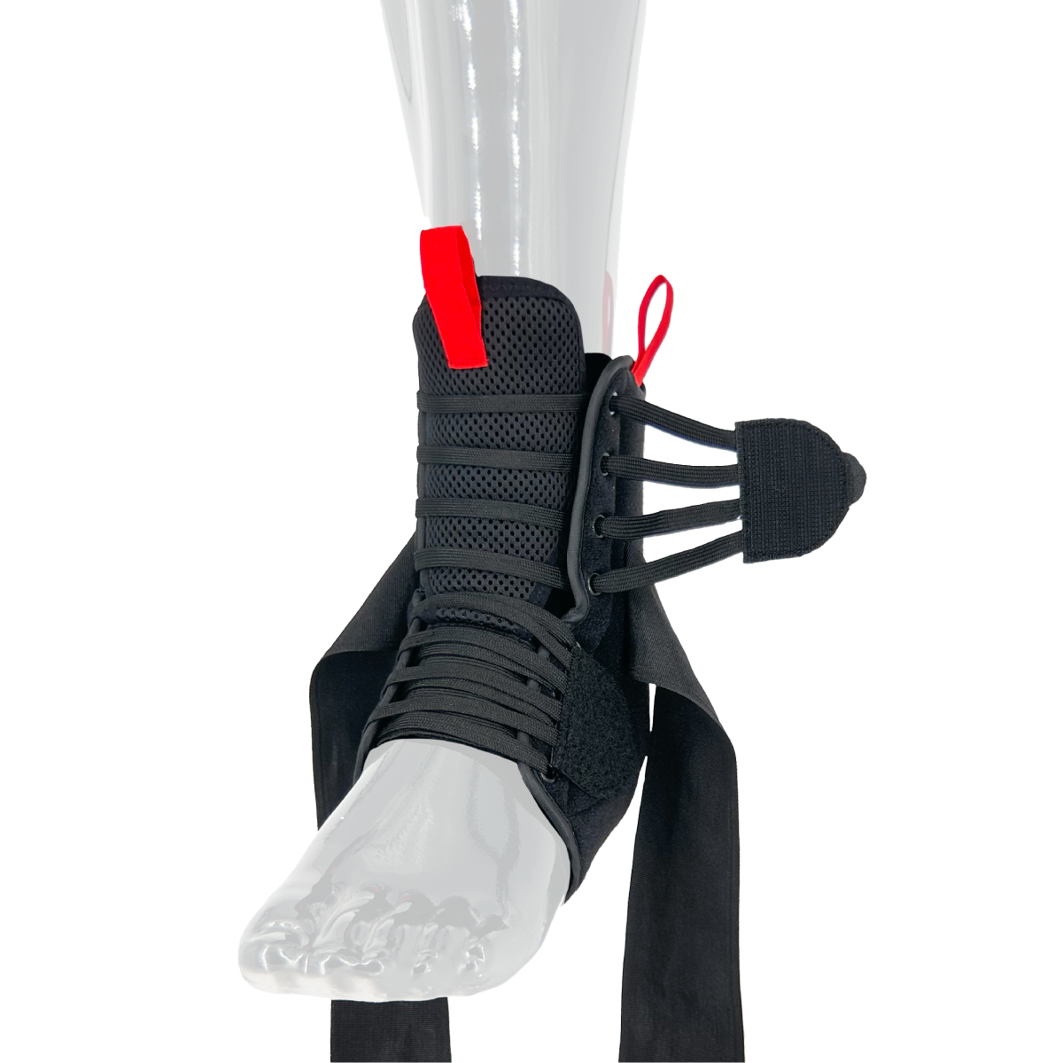 Atlas_Ankle_Open.jpg