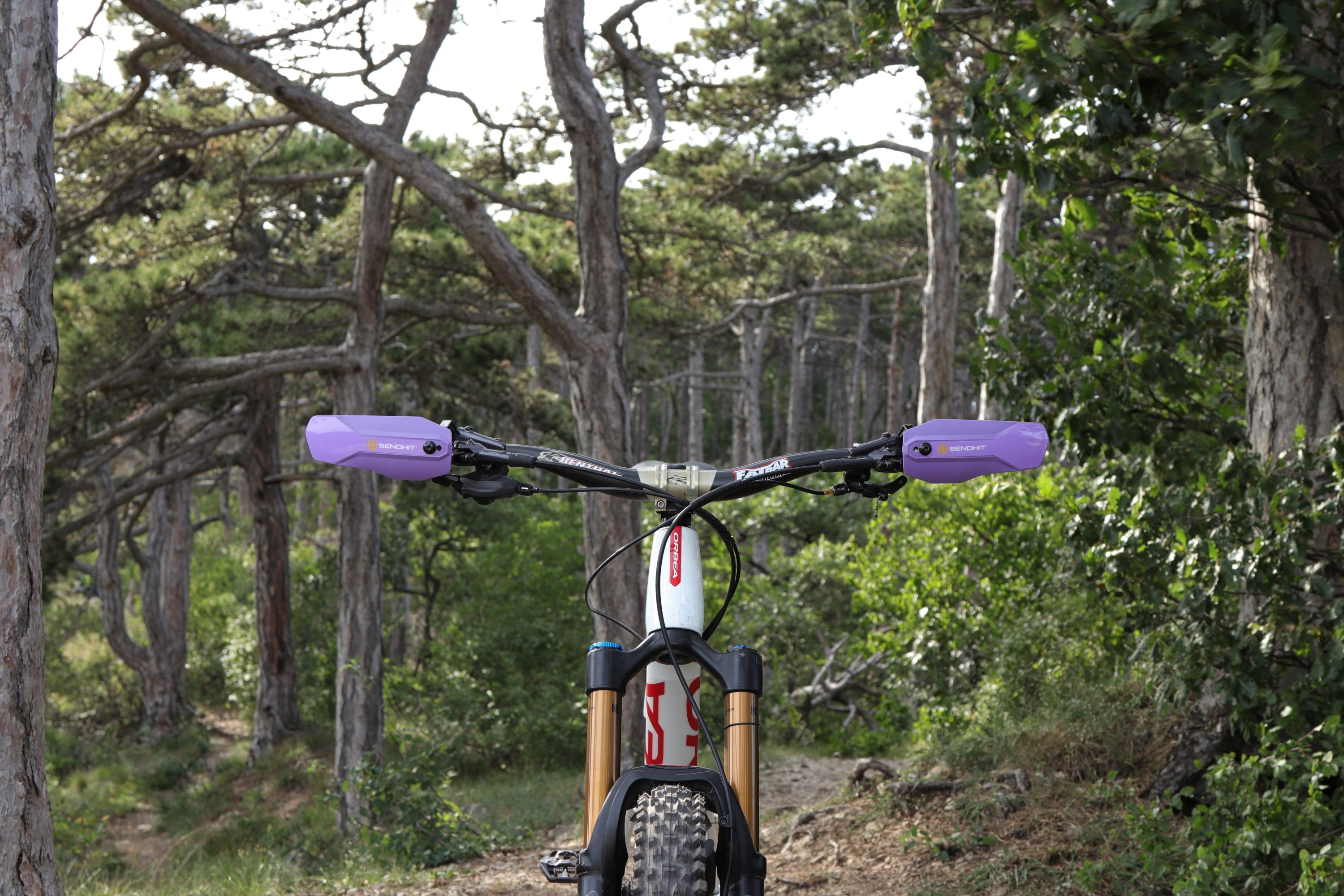 NockV2_Purple_Outdoor1.jpg