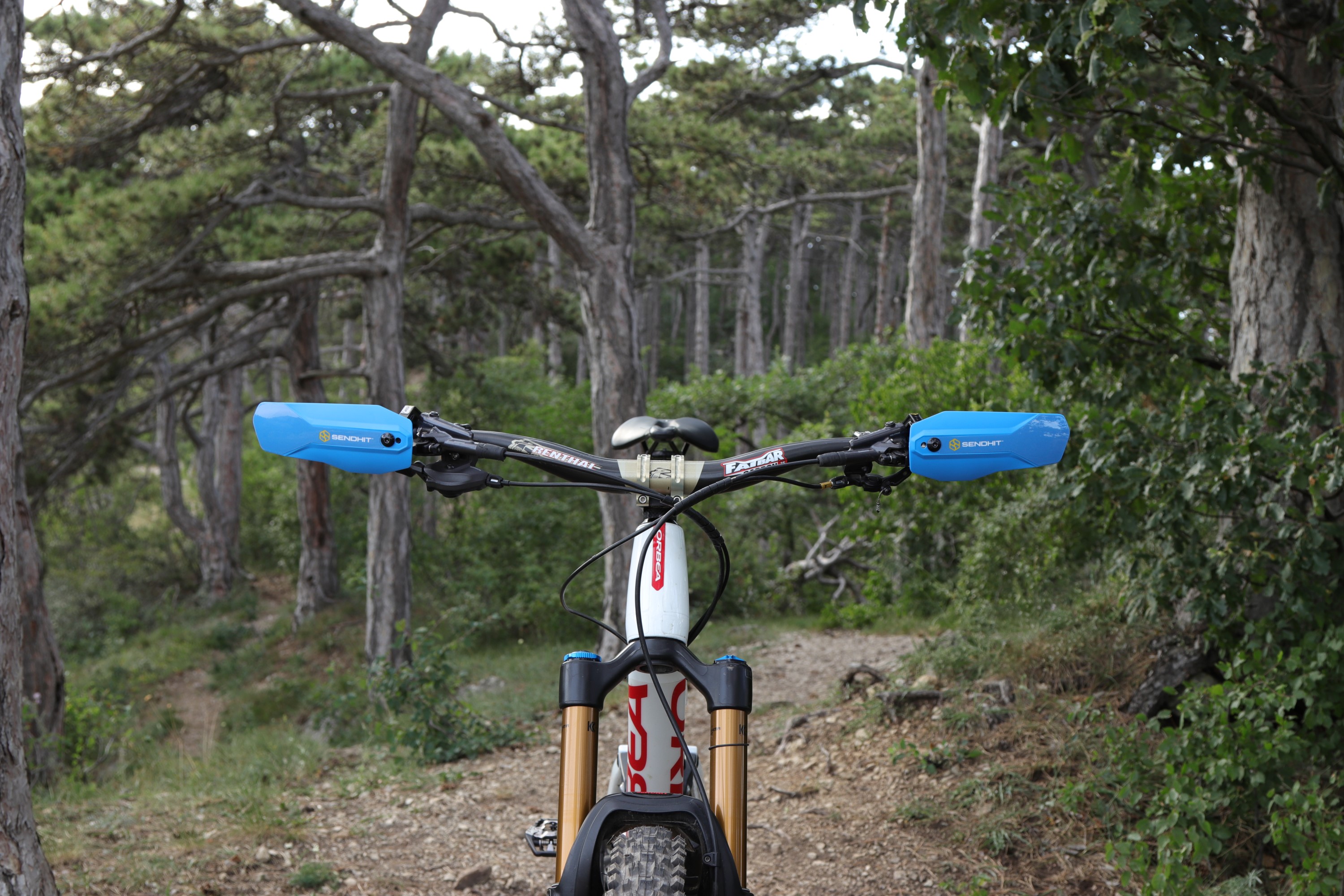 NockV2_Blue_Outdoor1.jpg